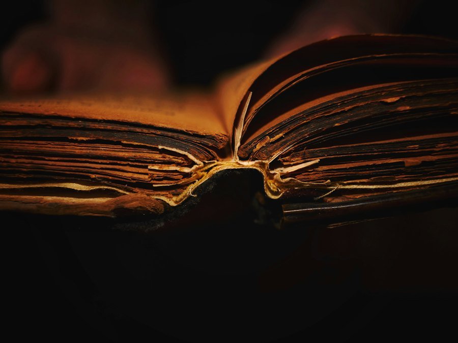 Old open book in warm light