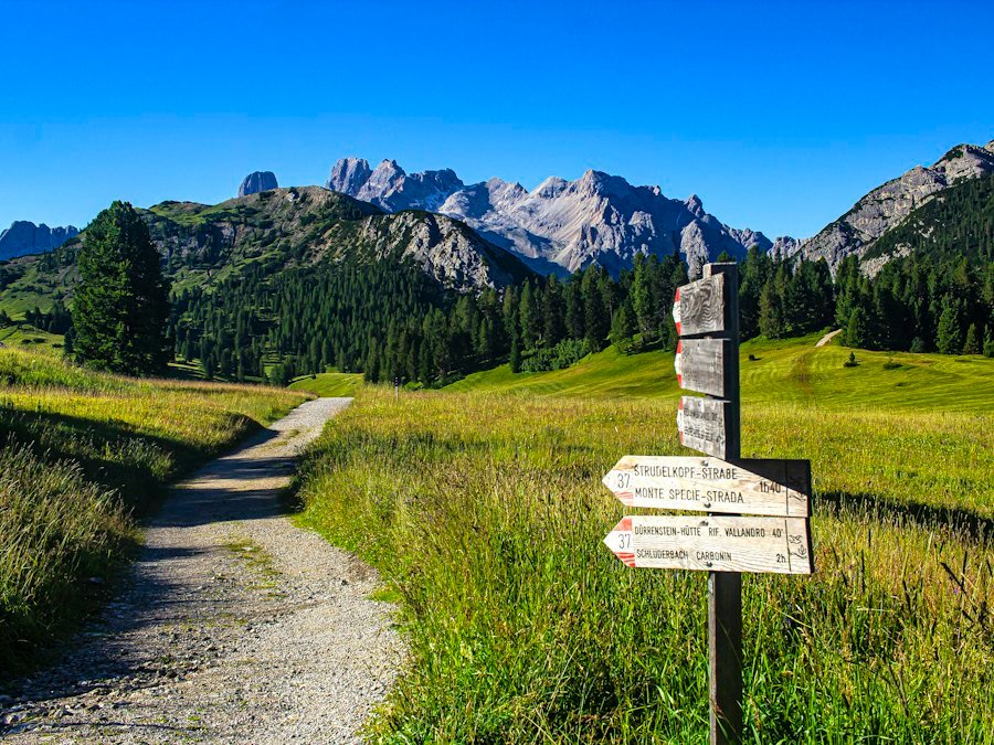 Mountain trail path