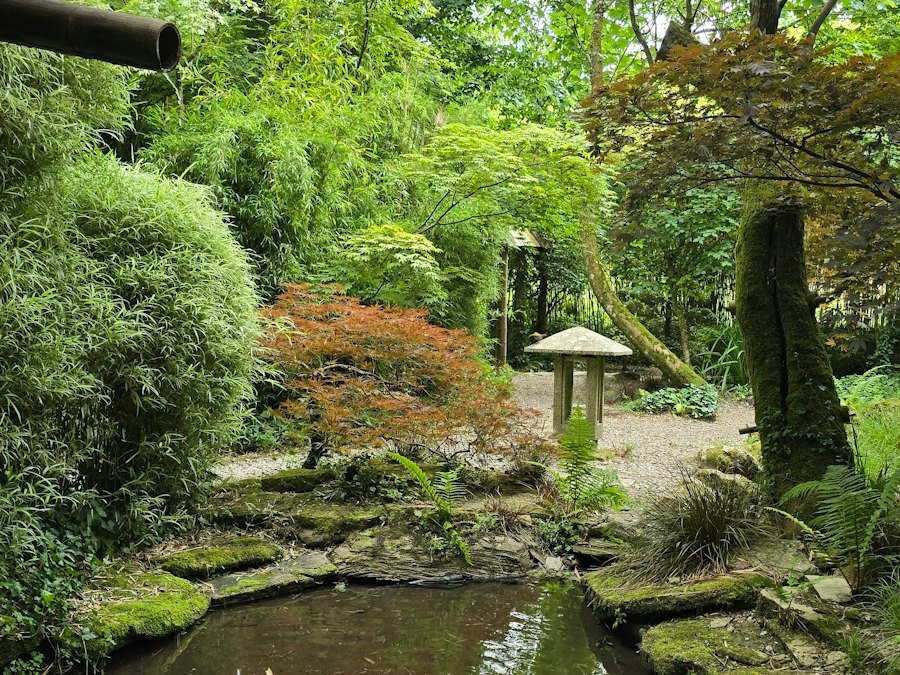 Serene Japanese garden