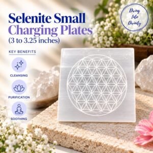 Selenite Small Charging Plate | Diving Into Divinity